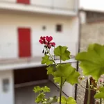 Appartement La Volpe Rossa And *