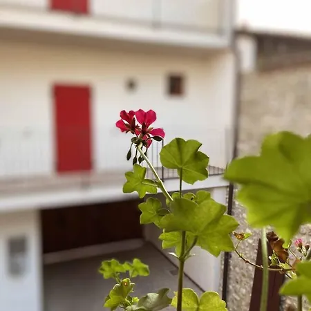 דירה La Volpe Rossa And *